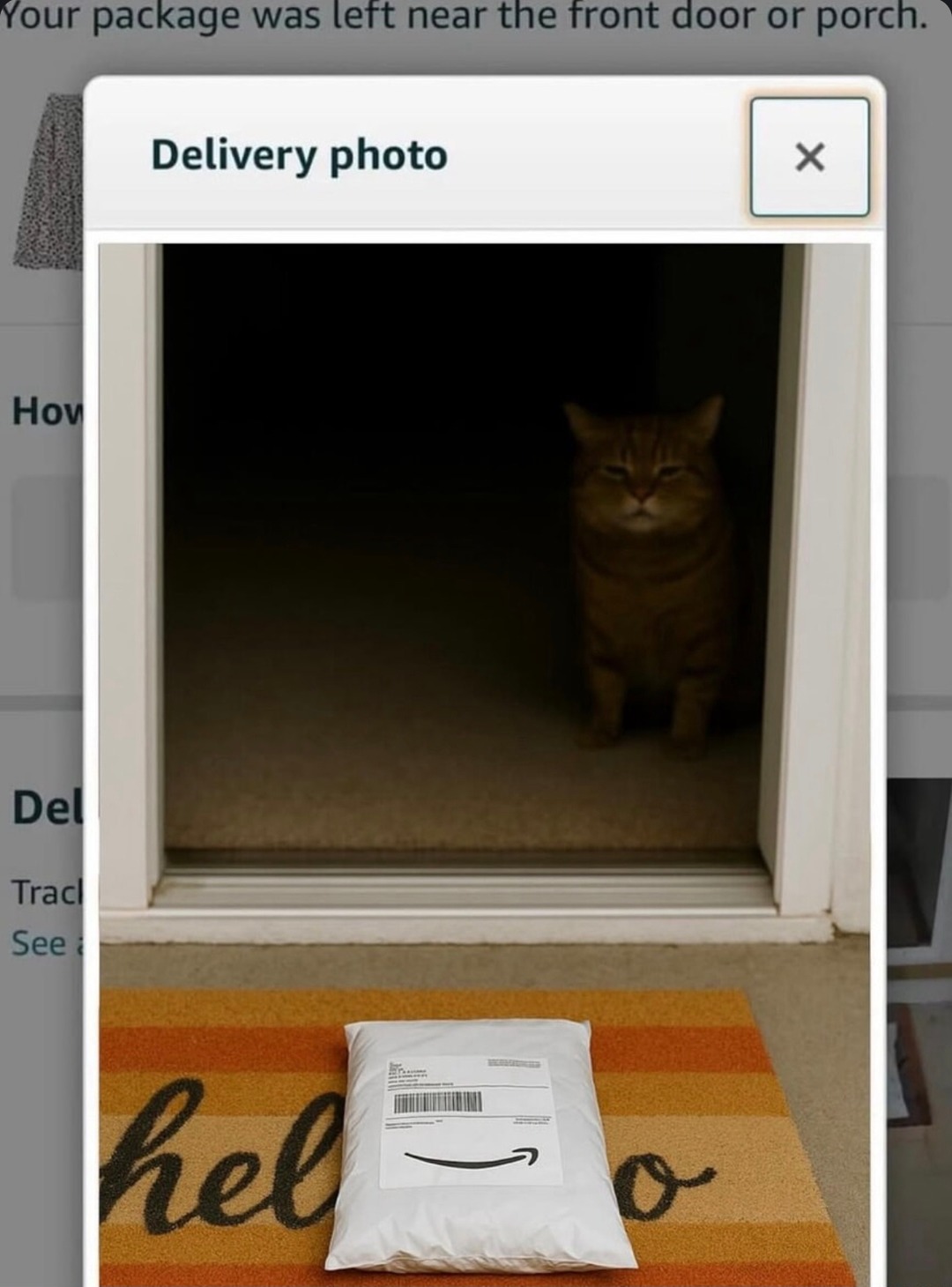 yeah bro we left your package exactly where the thieves hang out - meme
