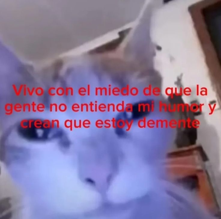 Xq - meme