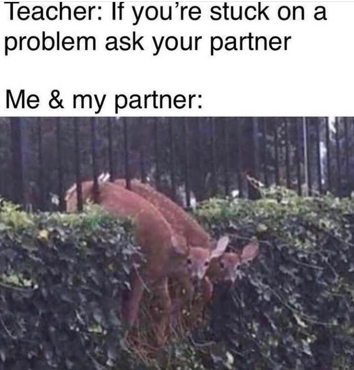 Sometimes I fell like I don't have a partner ... - meme