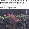 Sometimes I fell like I don't have a partner ...