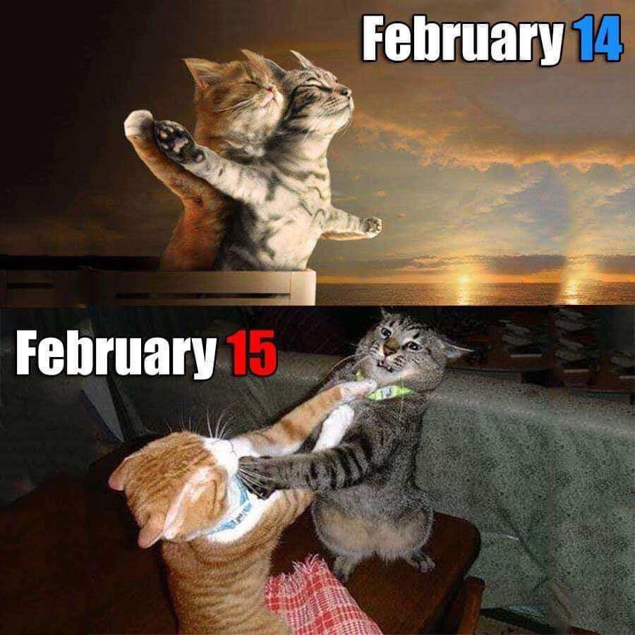 Some couples on February - meme