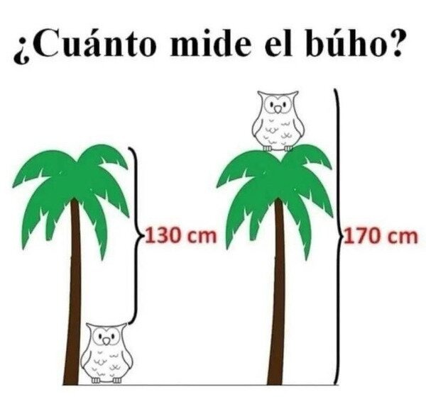 Cuánto mide el búho? - meme