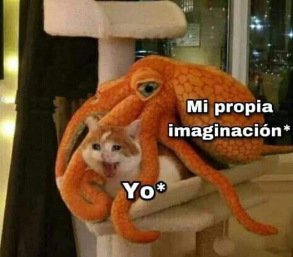 la imaginacion me hace daño - meme