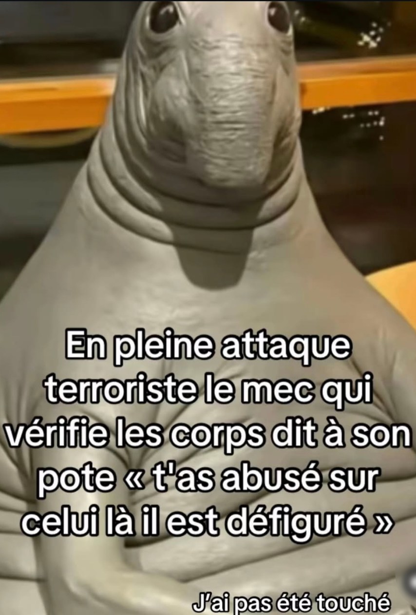 Même pendant l’attaque, le gars juge le boulot mal fait - meme