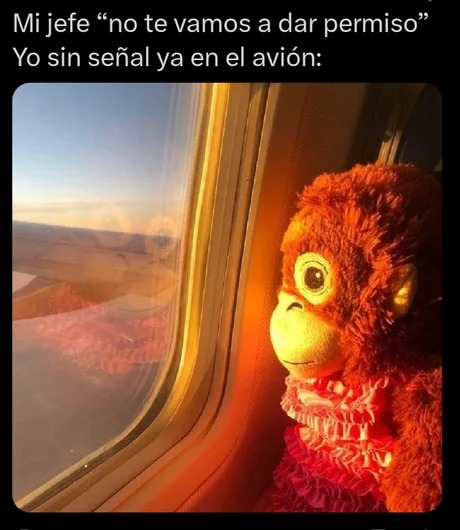 adios jefe - meme