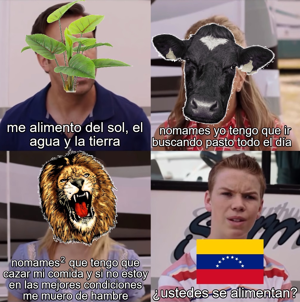 venezuela no comida - meme