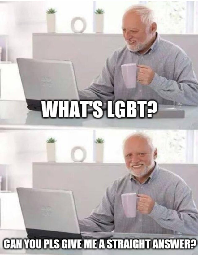 What is LGTB? A straight answer - meme