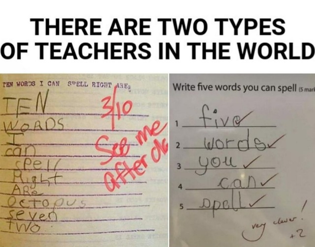 Two types of teachers in the world - meme