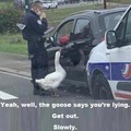 GTFO out now sir or I sick the goose on you k?