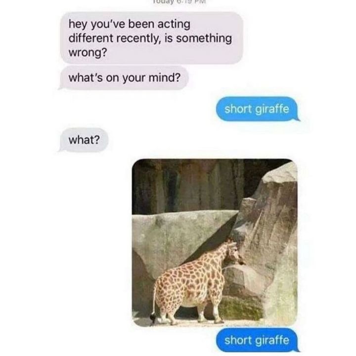short giraffe *sad noises* - meme