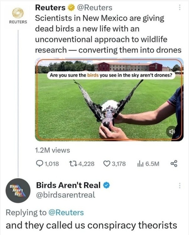 ﻿Reuters @Reuters Scientists in New Mexico are giving REUTERS dead birds a new life with an unconventional approach to wildlife research converting them into drones Are you sure the birds you see in the sky aren”t drones? 1.2M views 01,018 124,228 03,178 Il 6.5M Bidr Birds Aren’t Real @birdsarentreal Replying to @Reuters and called us conspiracy theorists they