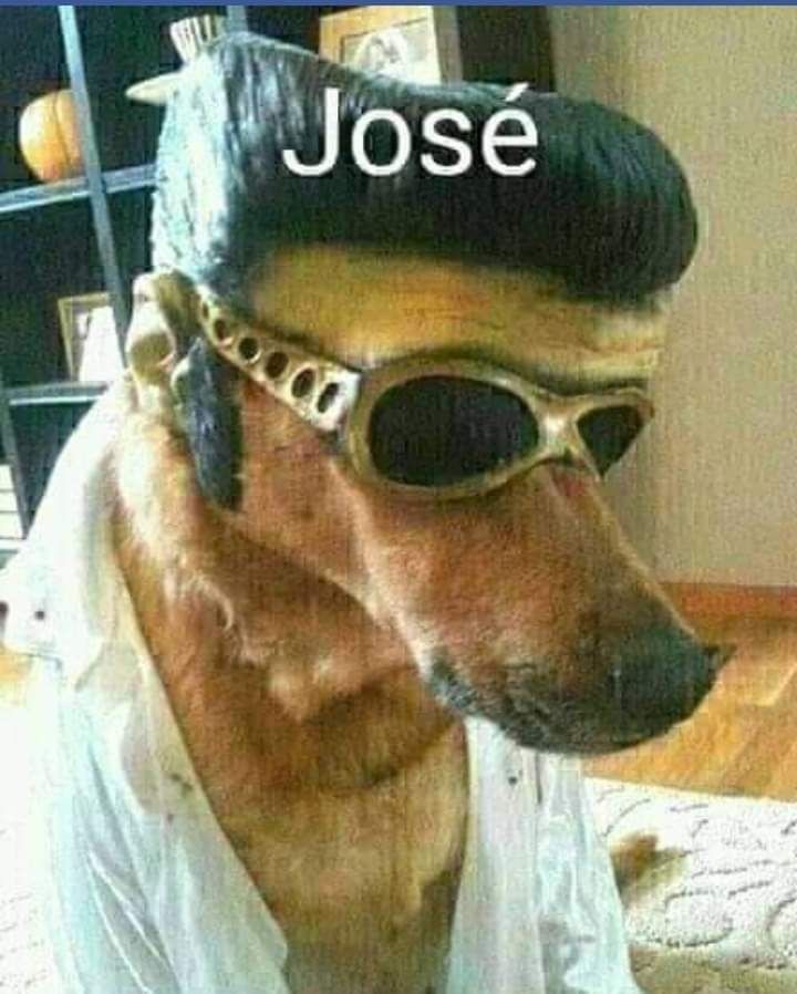 José - meme