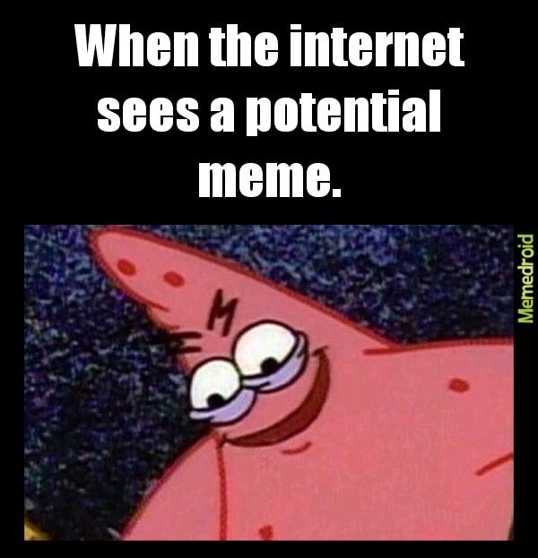 Internet in a nutt shell - meme