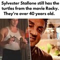 Sylvester Stallone still has the turtles from the movie Rocky