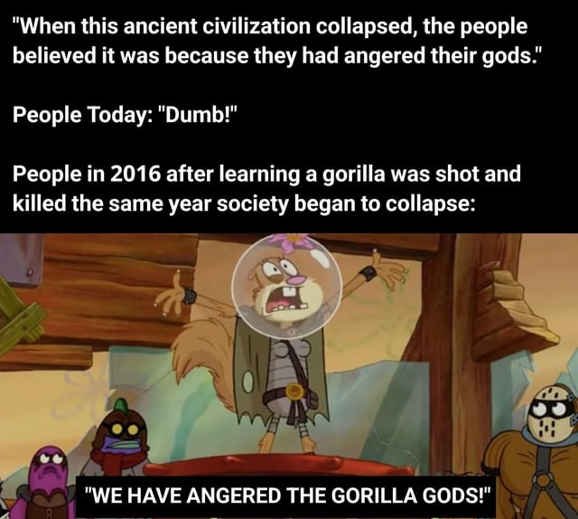 Gorilla gods have abandoned us - meme