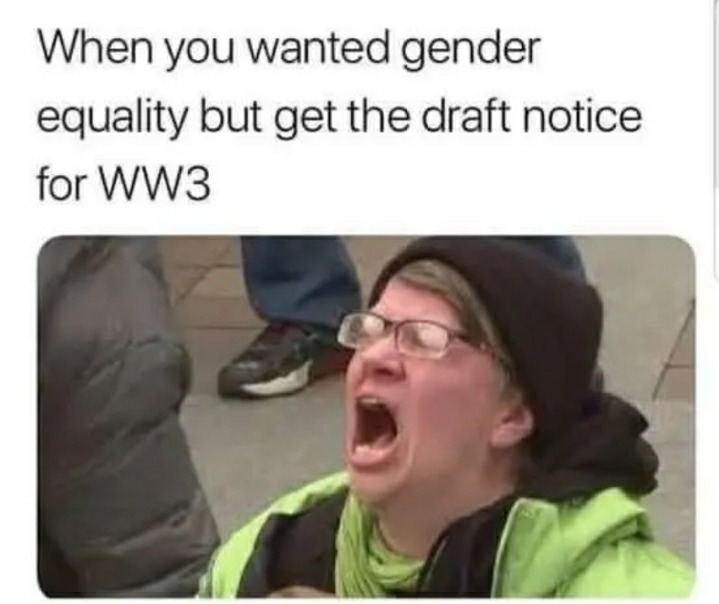 Gender equality - meme