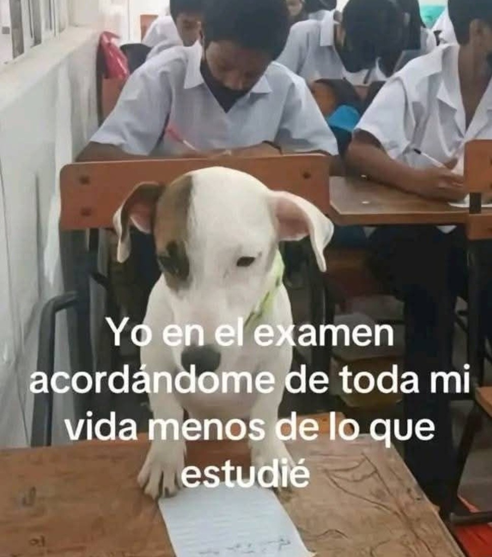 Yo en el examen recordando todo menos lo que estudié - meme