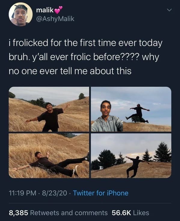 Frolic - meme
