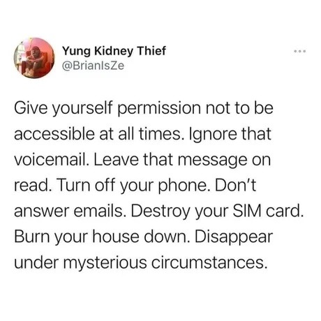 Normalize ghosting your entire existence - meme