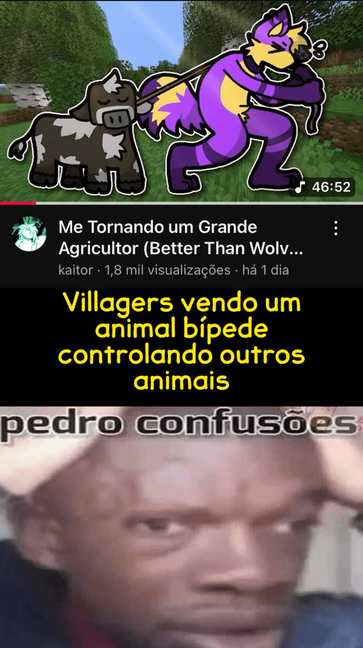 Furro - meme