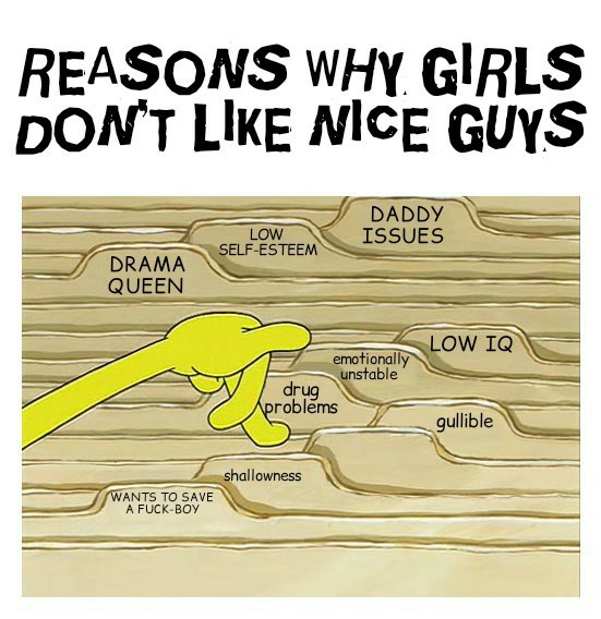 99 reasons - meme