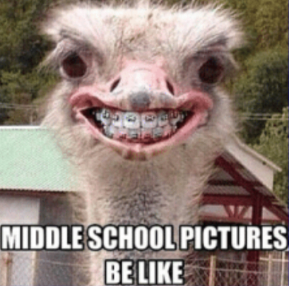 School picture days - meme