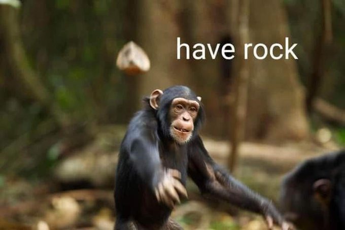 dongs in a rock - meme
