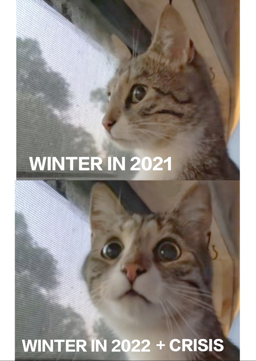 2022 Christmas Crisis - meme
