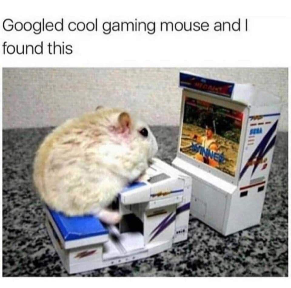 gamer hamster - meme