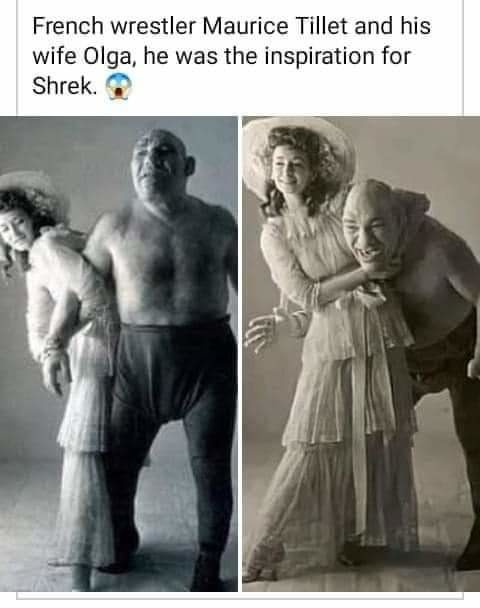 Shrek is love - Meme by RedWizardJinrya :) Memedroid