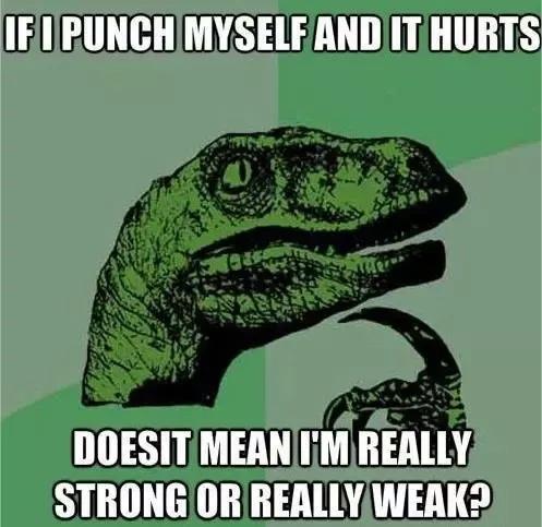 The questions that matter - meme