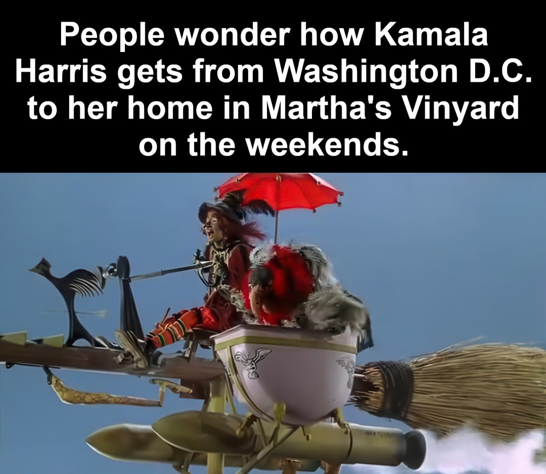Flying Harpy - meme
