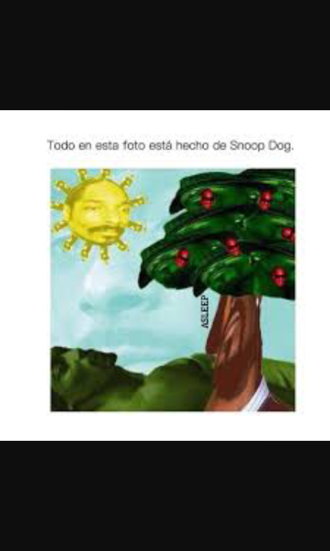 Snoop dog - meme
