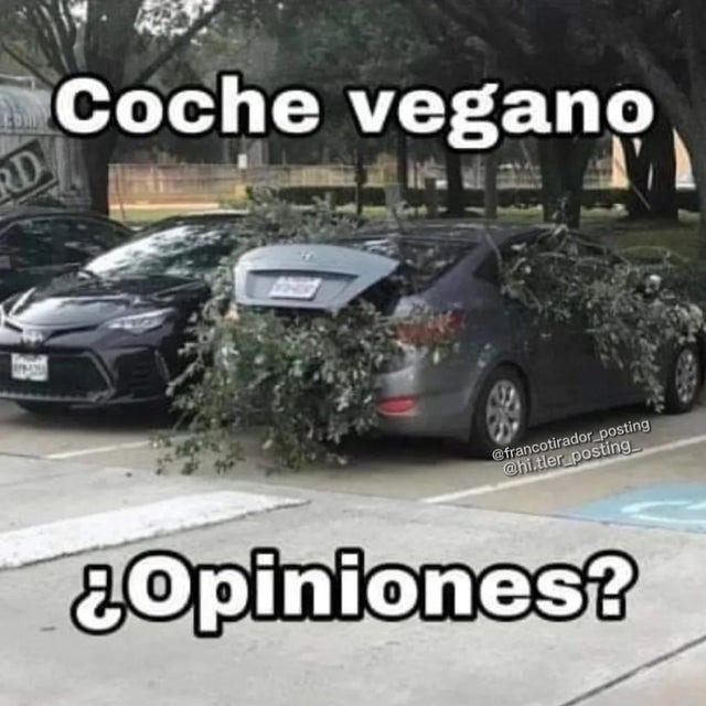 Coche vegano - meme