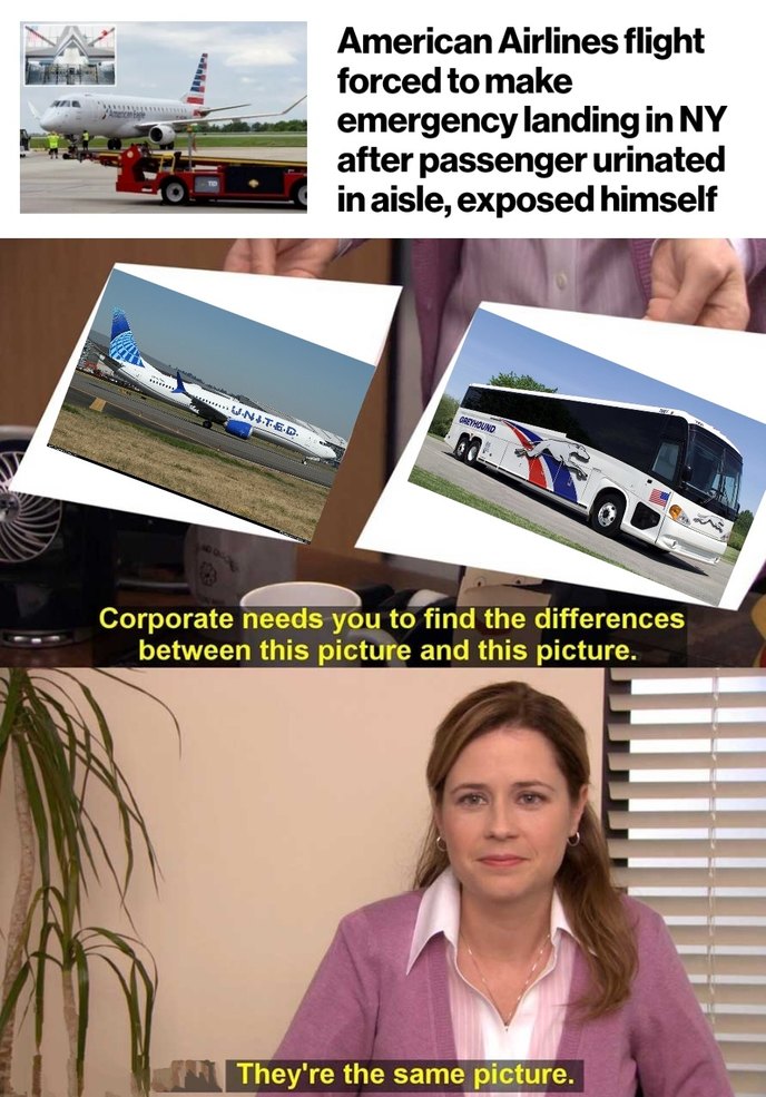 Dongs in a society - meme