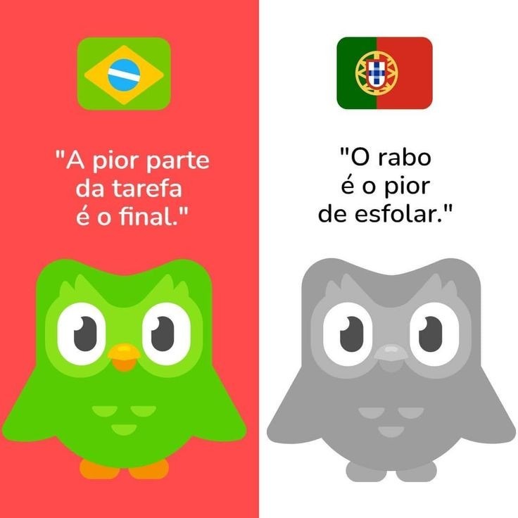 PT-BR vs PT-PT - meme