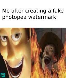 I didn't use photopea - meme
