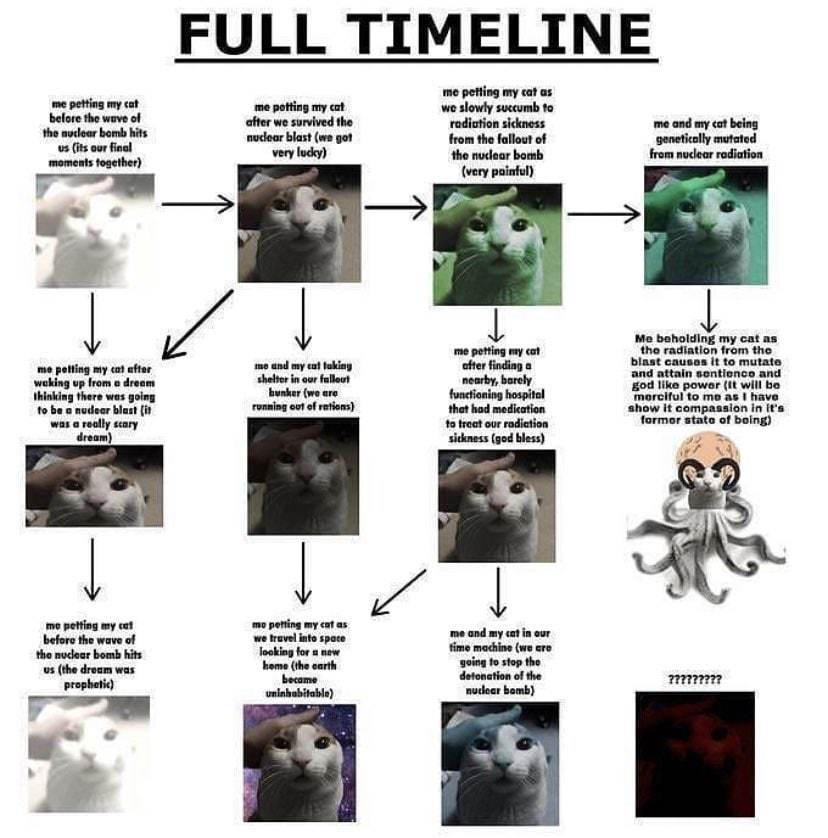 The timeline - meme