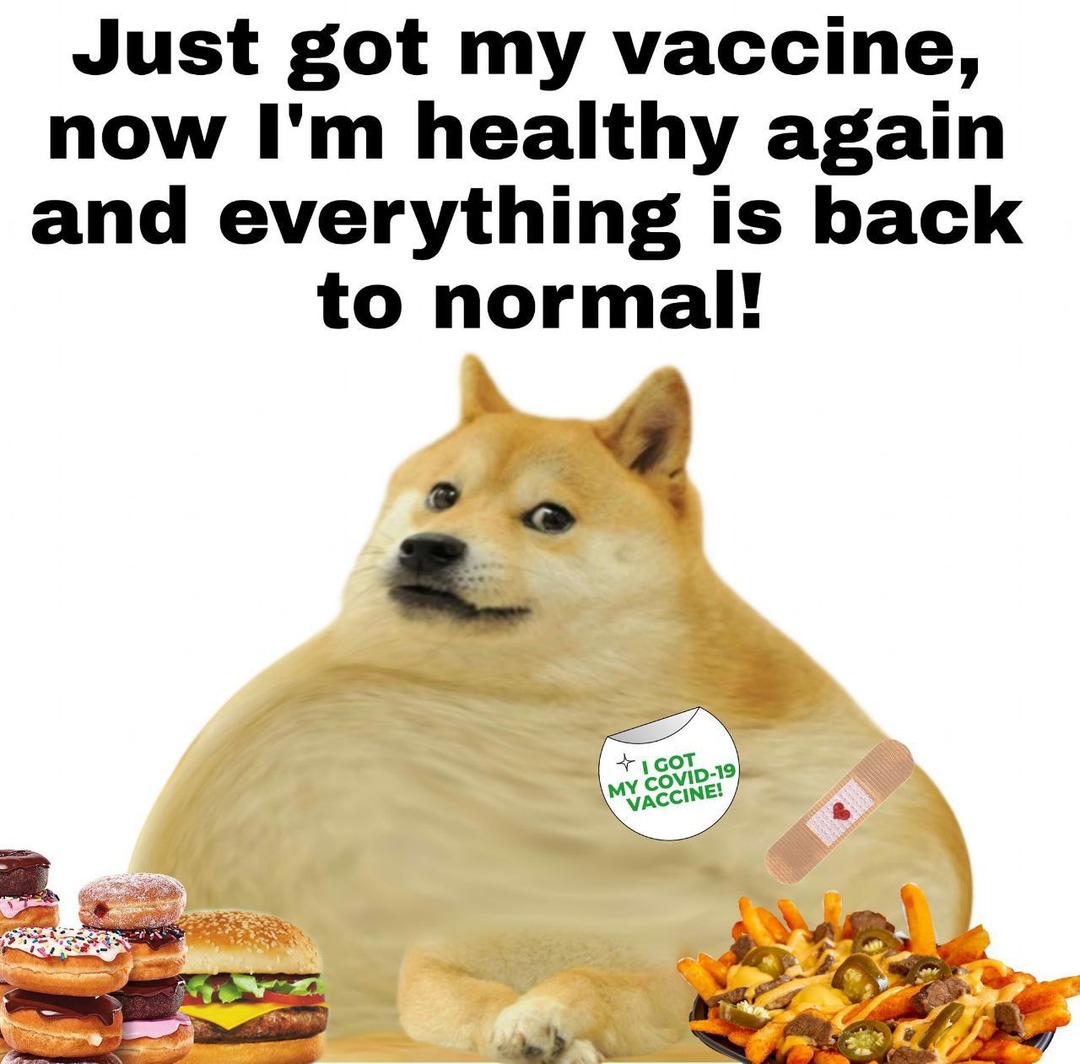Vaccine is for fags - meme