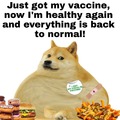 Vaccine is for fags