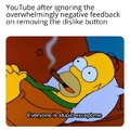 Youtube is stupid for removing the dislike button