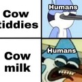 Human tiddies are great but cow milk is preferable after a certain age