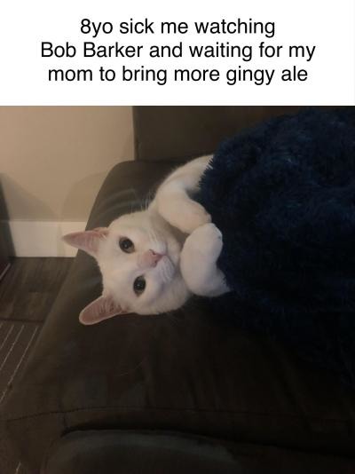 ginger ale - meme
