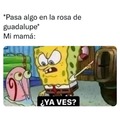 Mi Mamá Después De Ver La Rosa De Guadalupe