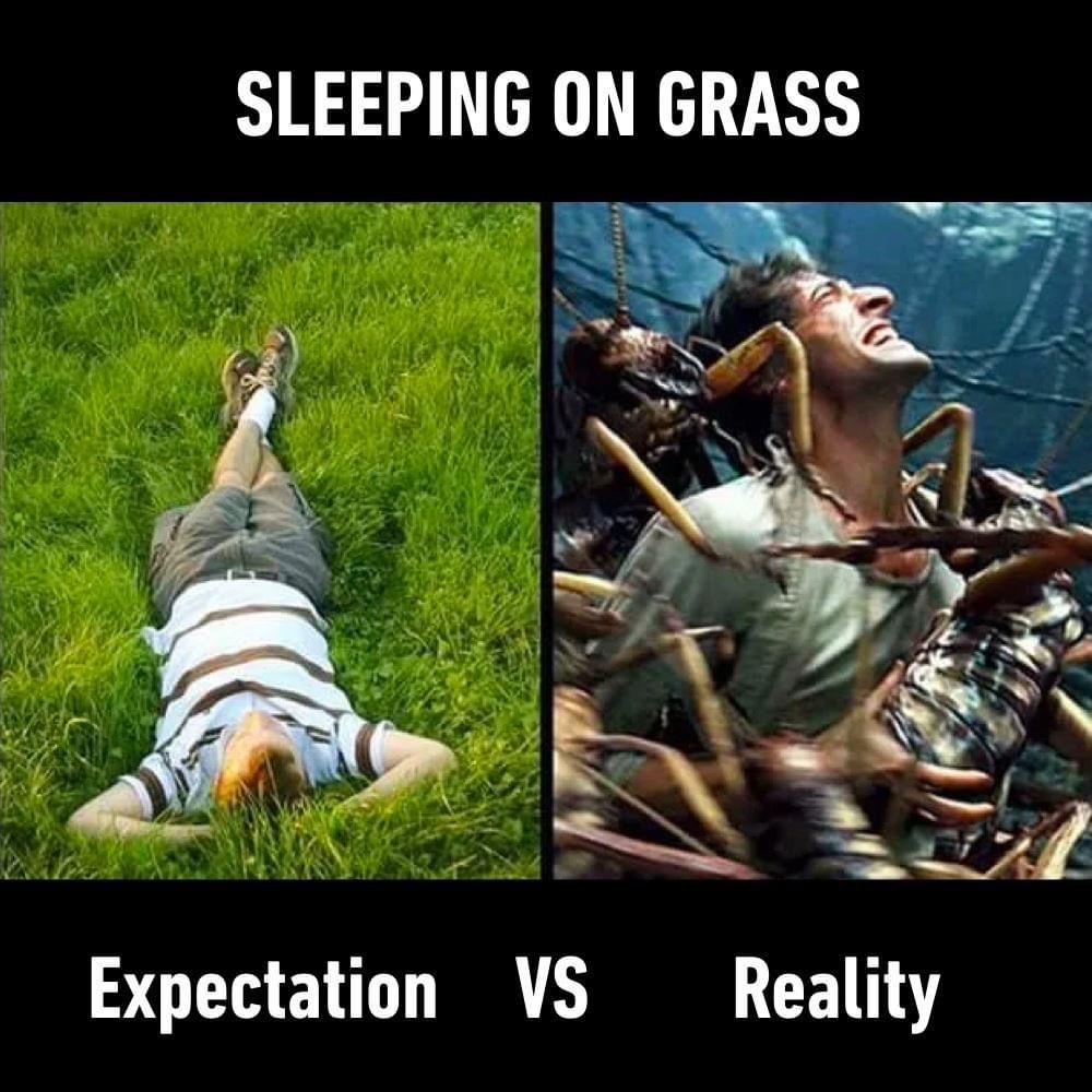 Dark expectation vs reality meme