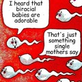 That's what all the spermatozoa be sayin' at the gangbang