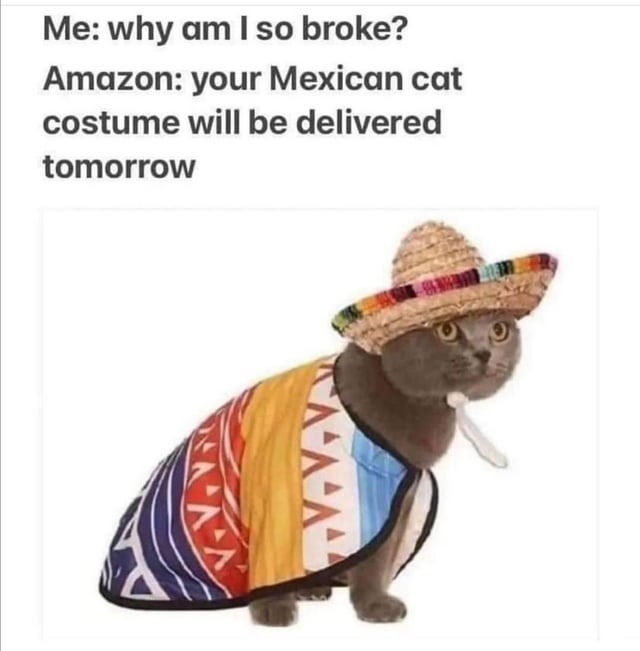 Mexican cat costume - meme