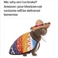 Mexican cat costume