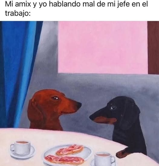 perros sideye - meme
