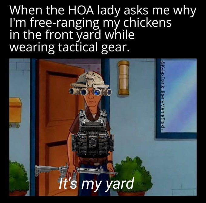 wanna throw hands? - meme